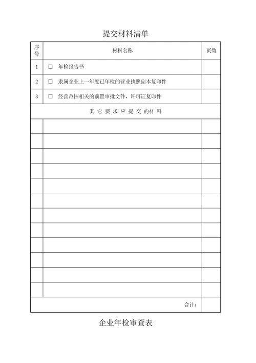 企业分支机构其它经营单位年检报告书