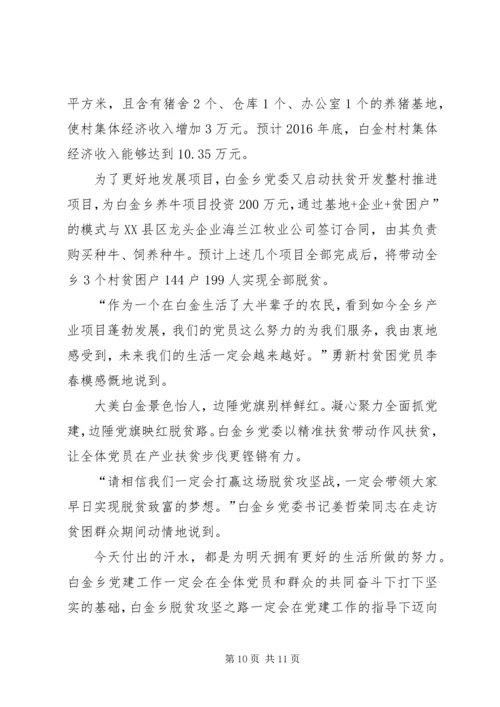 市督导组抓党建促脱贫攻坚督导清单20XX年0708 (5).docx