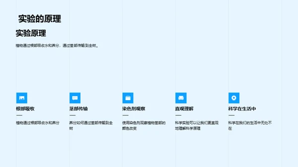 植物养分传输实验