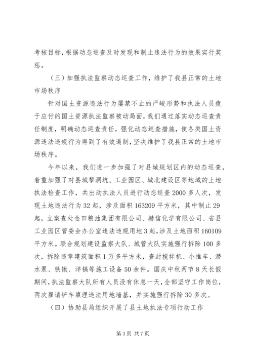 国土系统执法情况报告.docx