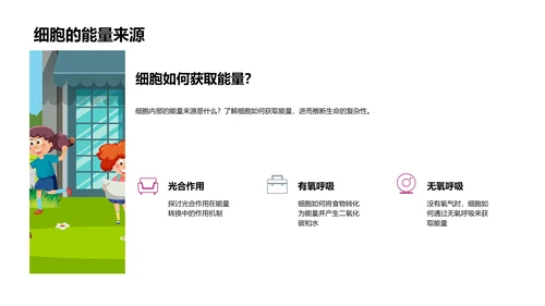 细胞知识讲解PPT模板