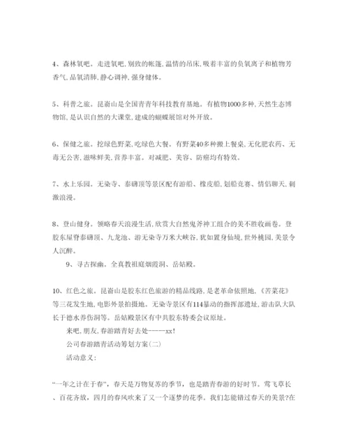 精编公司春游踏青活动策划方案范文5篇.docx