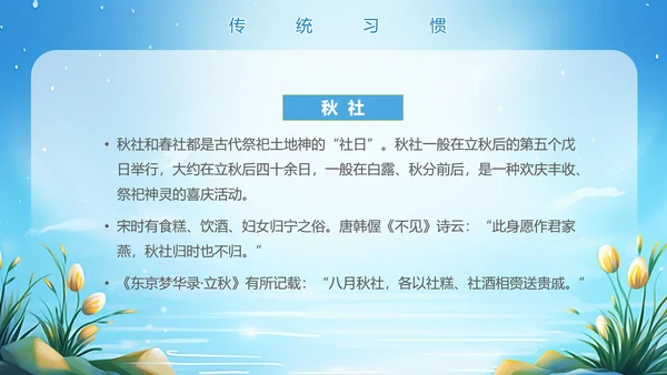 美丽的梦幻传统节气白露PPT模板