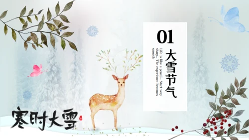 寒时大雪时节通用PPT模板