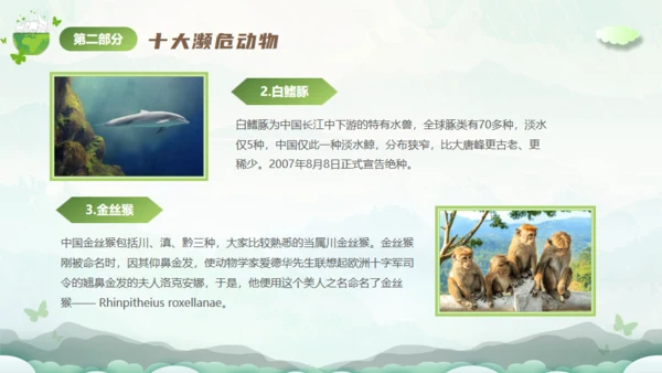 保护濒危动物，拯救美好生命通用PPT模板