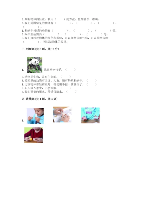 教科版小学科学一年级下册期末测试卷及答案（网校专用）.docx