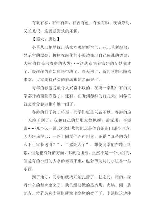 关于野炊的作文.docx