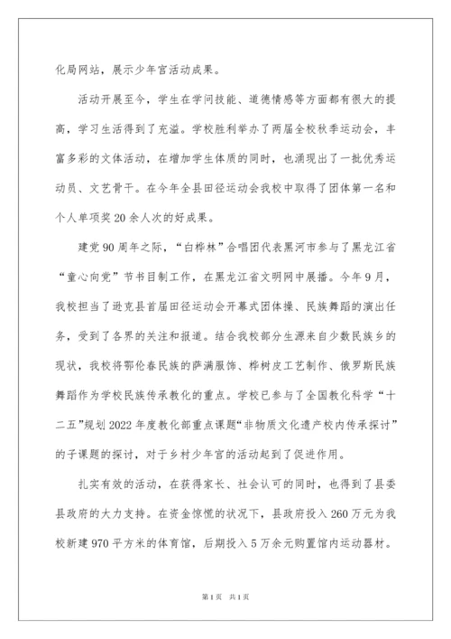 2022乡村学校少年宫活动自查报告.docx