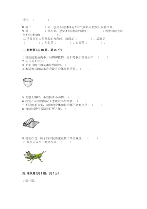 教科版二年级上册科学期末考试试卷含答案【考试直接用】.docx