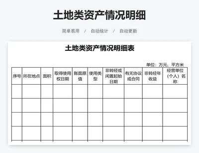 土地类资产情况明细