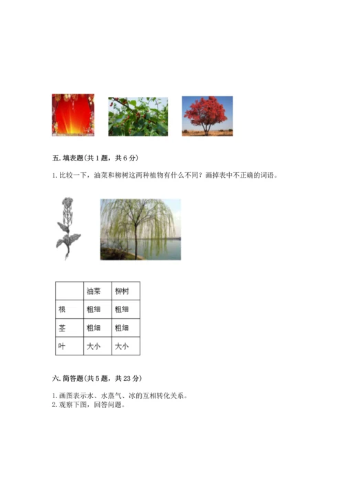 教科版一年级上册科学期末测试卷精品【能力提升】.docx