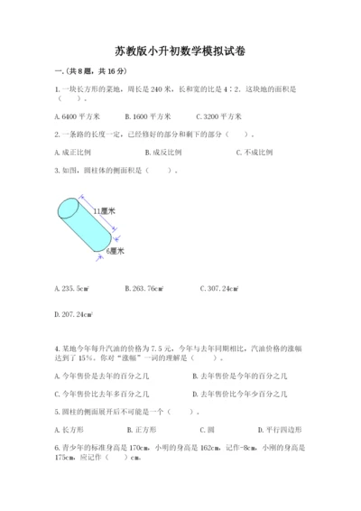 苏教版小升初数学模拟试卷ab卷.docx