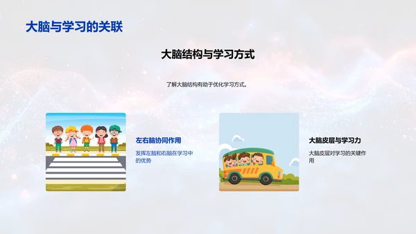 优化学习的脑科学策略