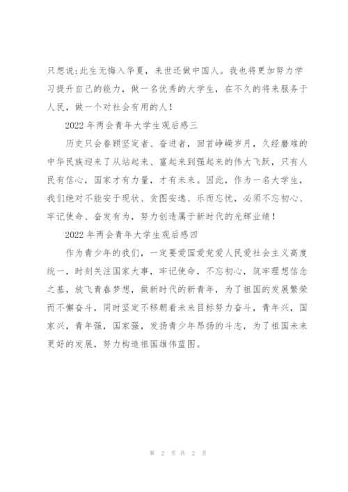 2022年两会青年大学生观后感.docx