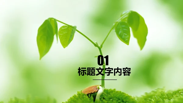 开场视频片头小苗生长发芽开花ppt模板