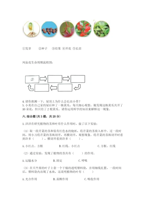 教科版科学四年级下册第一单元《植物的生长变化》测试卷精品（能力提升）.docx