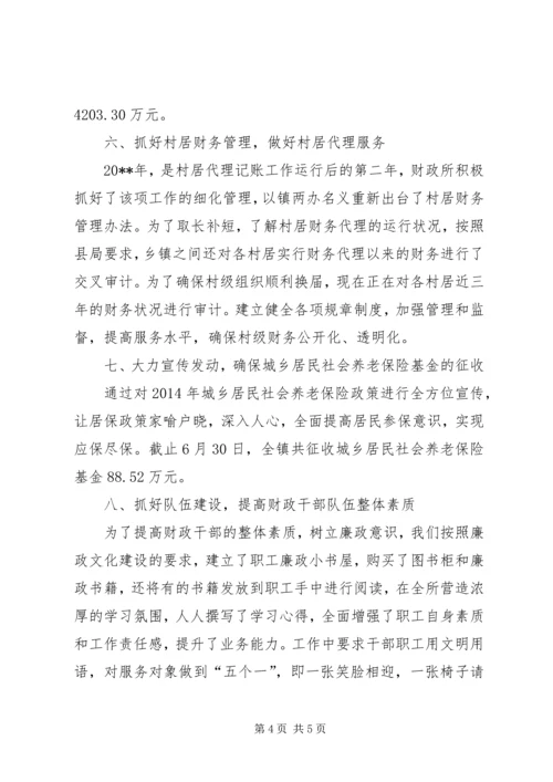 乡镇财政所半年工作总结.docx