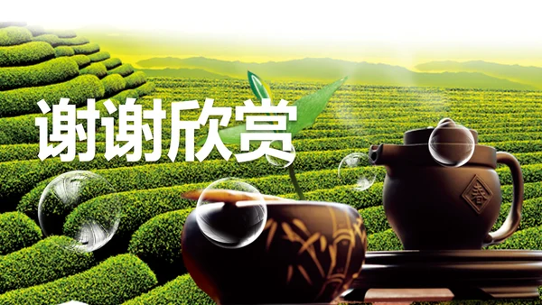 绿茶产品介绍茶叶茶文化春茶紫砂壶PPT