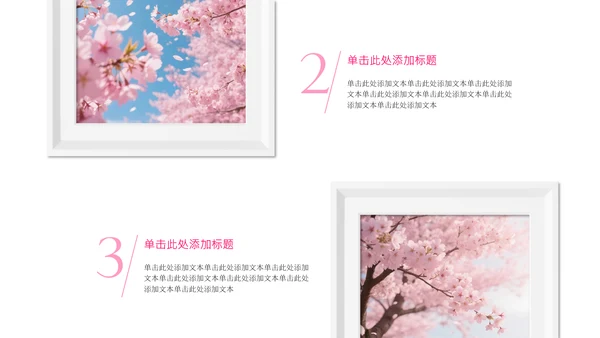 粉白色简约风城市樱花节PPT模板