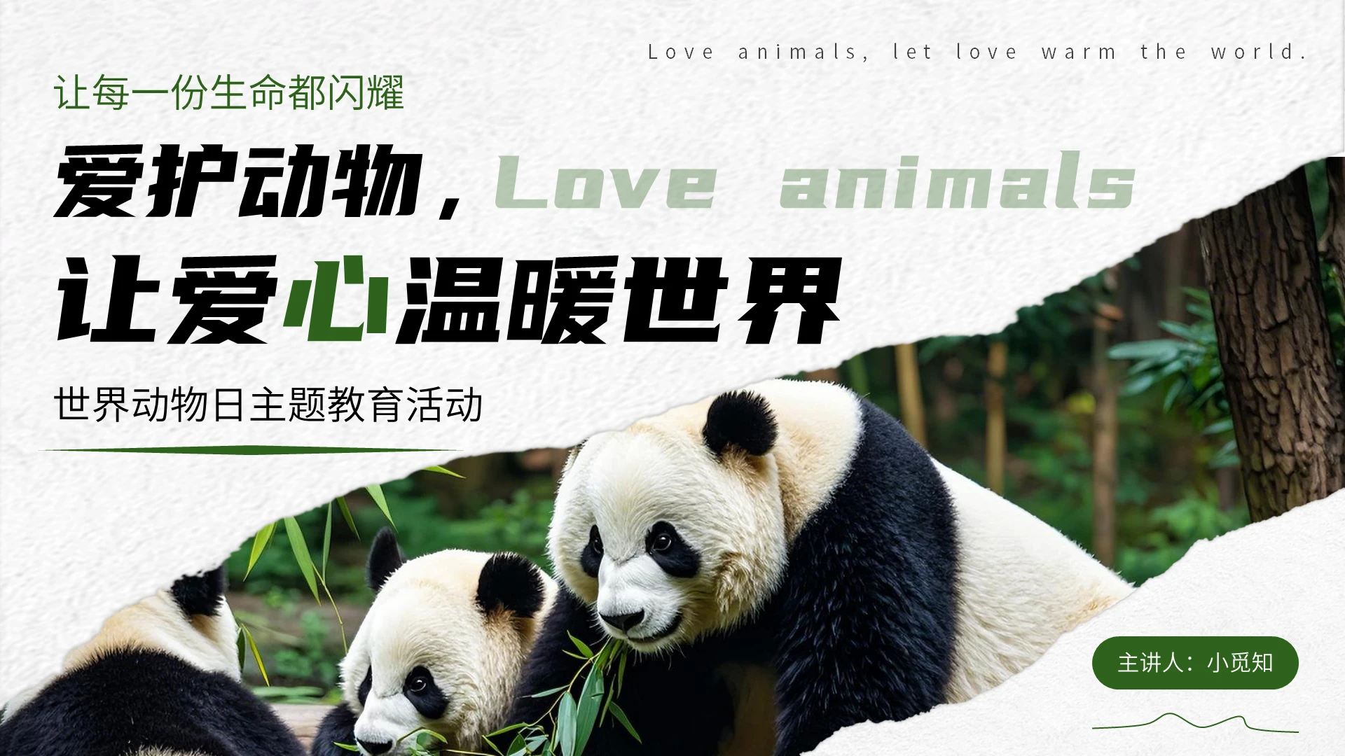 绿色实拍风保护动物让爱心温暖世界宣传介绍教育课件PPT模板世界动物日