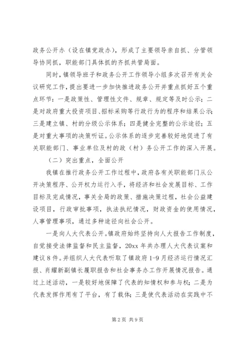 乡镇政务公开工作总结_1.docx