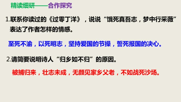 部编版九下语文第六单元课外古诗之《南安军》 同步课件