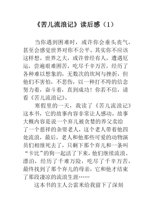 《苦儿流浪记》读后感(1).docx