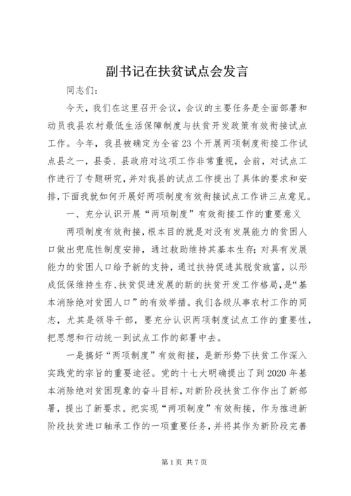 副书记在扶贫试点会发言.docx