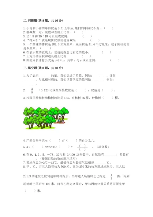 北京版小学六年级下册数学期末综合素养测试卷及1套完整答案.docx