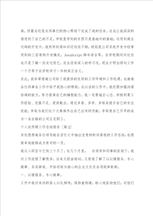 个人试用期工作总结报告