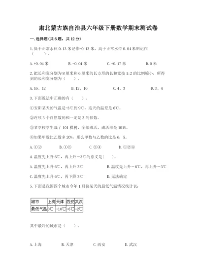 肃北蒙古族自治县六年级下册数学期末测试卷及完整答案一套.docx