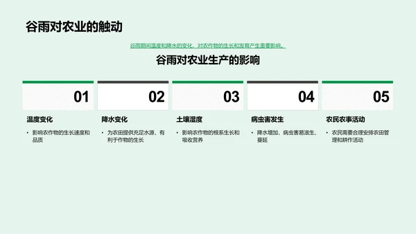 谷雨节气农业影响