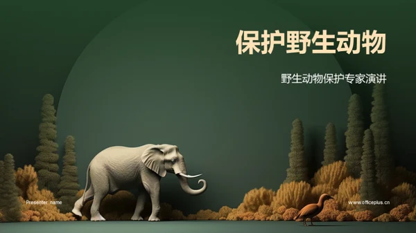 保护野生动物