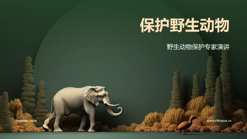 保护野生动物