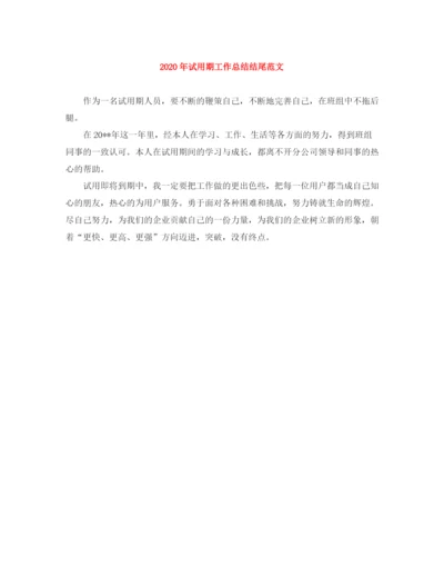 精编之年试用期工作总结结尾范文.docx
