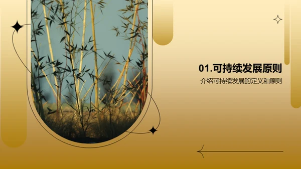 绿色发展：木竹林的新篇章