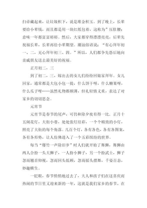家乡的春节作文-2.docx