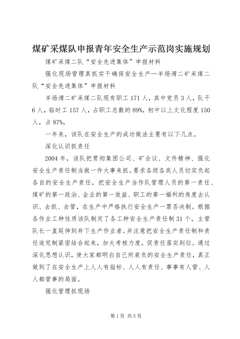 煤矿采煤队申报青年安全生产示范岗实施规划 (6).docx