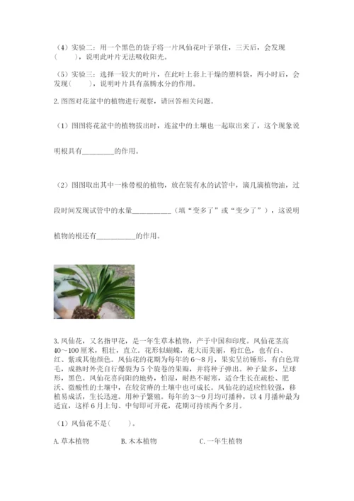 教科版四年级下册科学第一单元《植物的生长变化》测试卷（考点精练）.docx