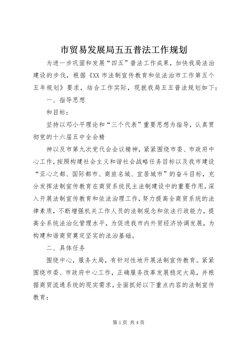 市贸易发展局五五普法工作规划 (3).docx