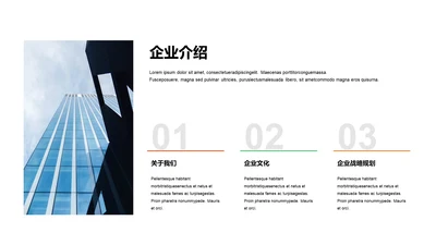 单色扁平3项企业介绍