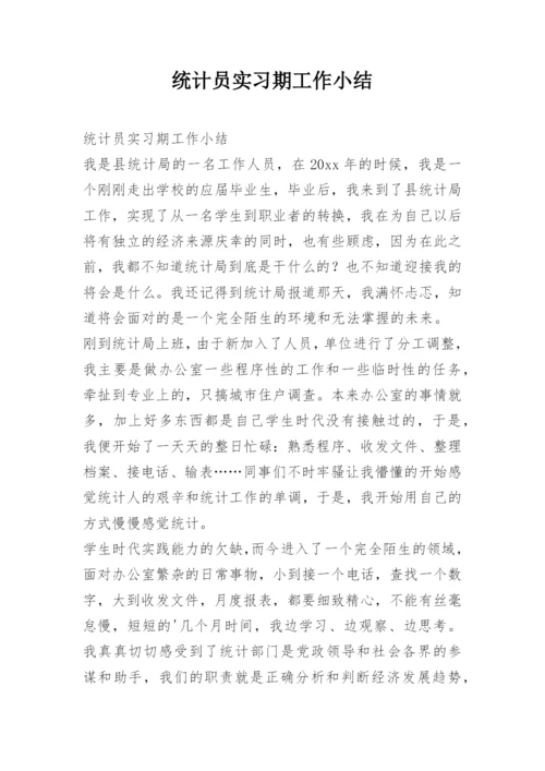 统计员实习期工作小结.docx