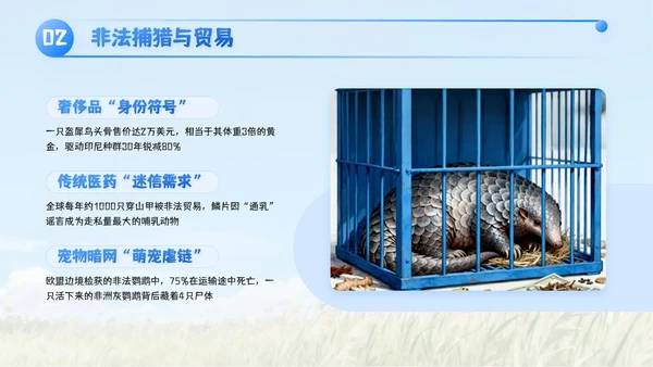 蓝色插画风世界动物日PPT模板