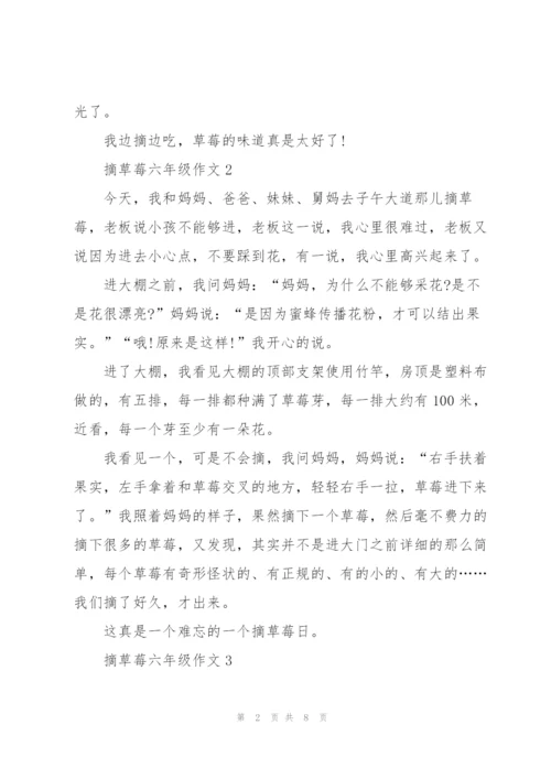 摘草莓六年级作文10篇.docx