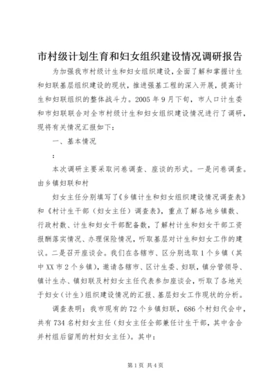 市村级计划生育和妇女组织建设情况调研报告 (9).docx
