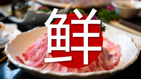 餐饮连锁重庆麻辣火锅宣传推广加盟PPT模板