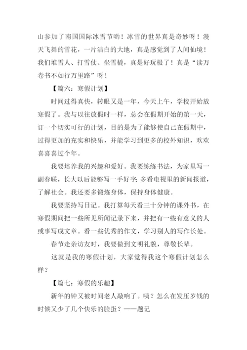 关于寒假的作文300字.docx