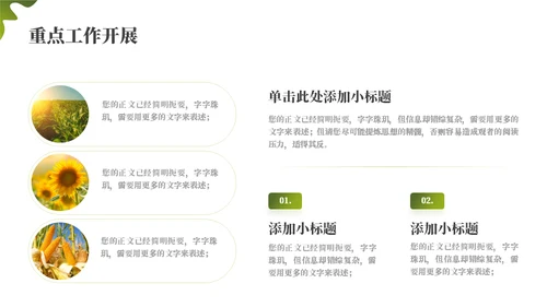 绿色乡村振兴项目工作汇报通用PPT模板