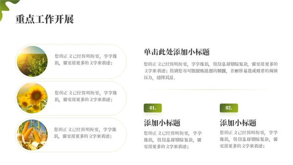 绿色乡村振兴项目工作汇报通用PPT模板