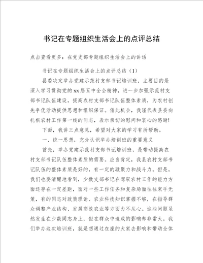 书记在专题组织生活会上的点评总结